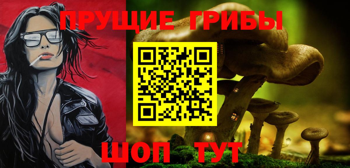Кашира  Галлюциногенные грибы прущие грибы  Вход с VPN 