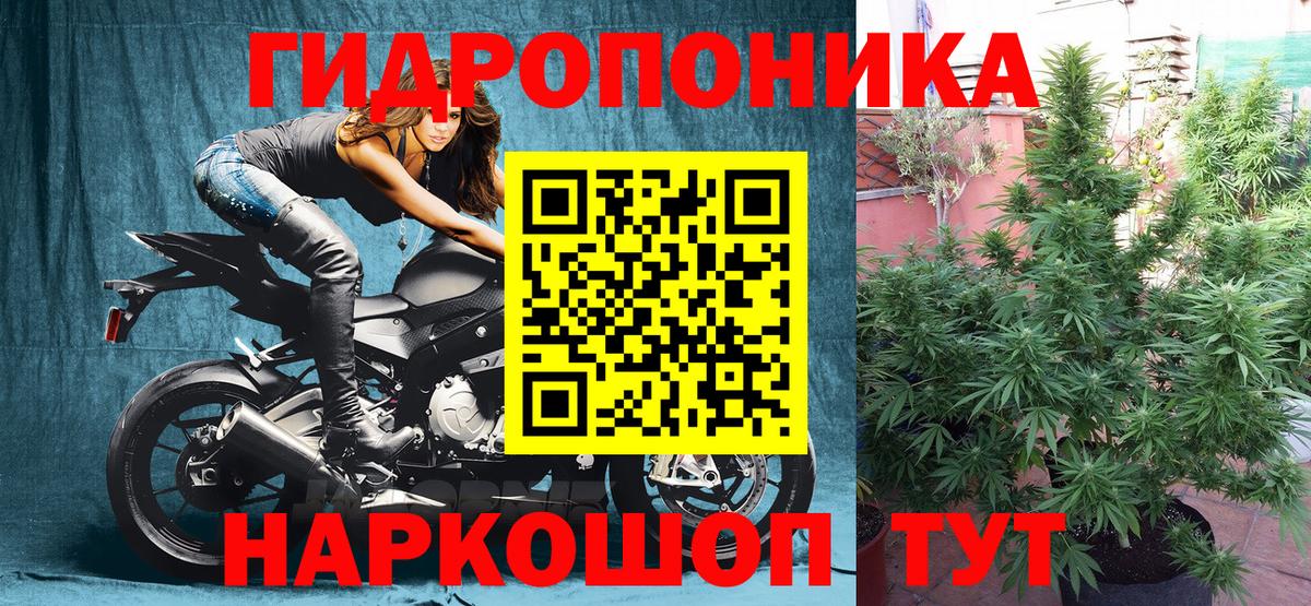 Шишки марихуана гибрид Кашира